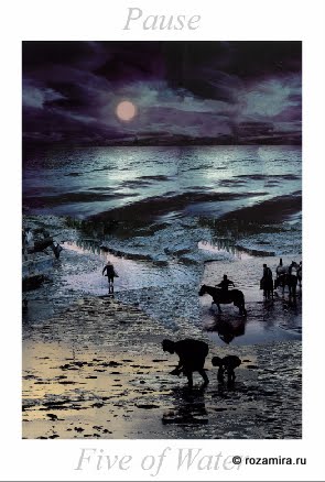 Nature Tarot by Jan Strube